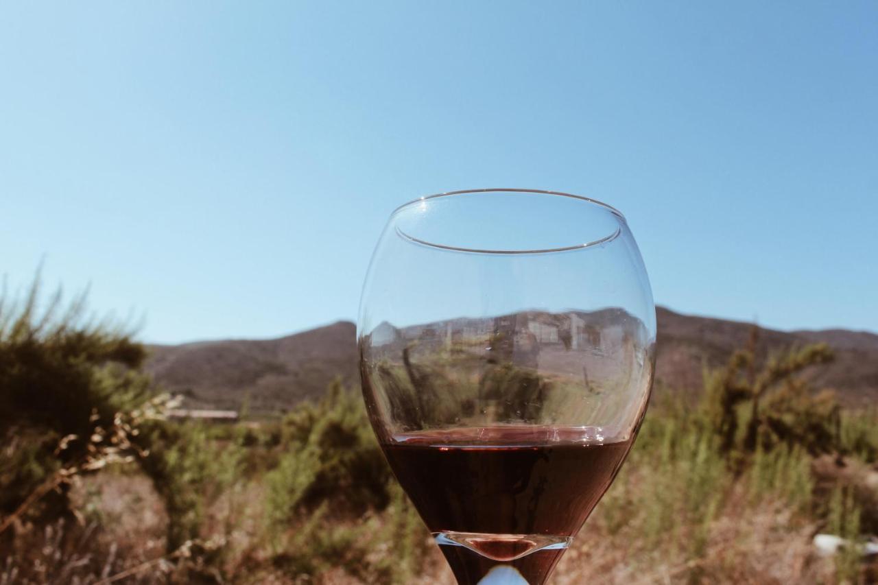 Quintas Marlet en la ruta del vino Ensenada Exterior foto