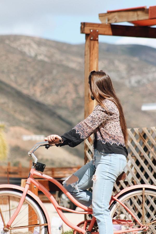 Quintas Marlet en la ruta del vino Ensenada Exterior foto