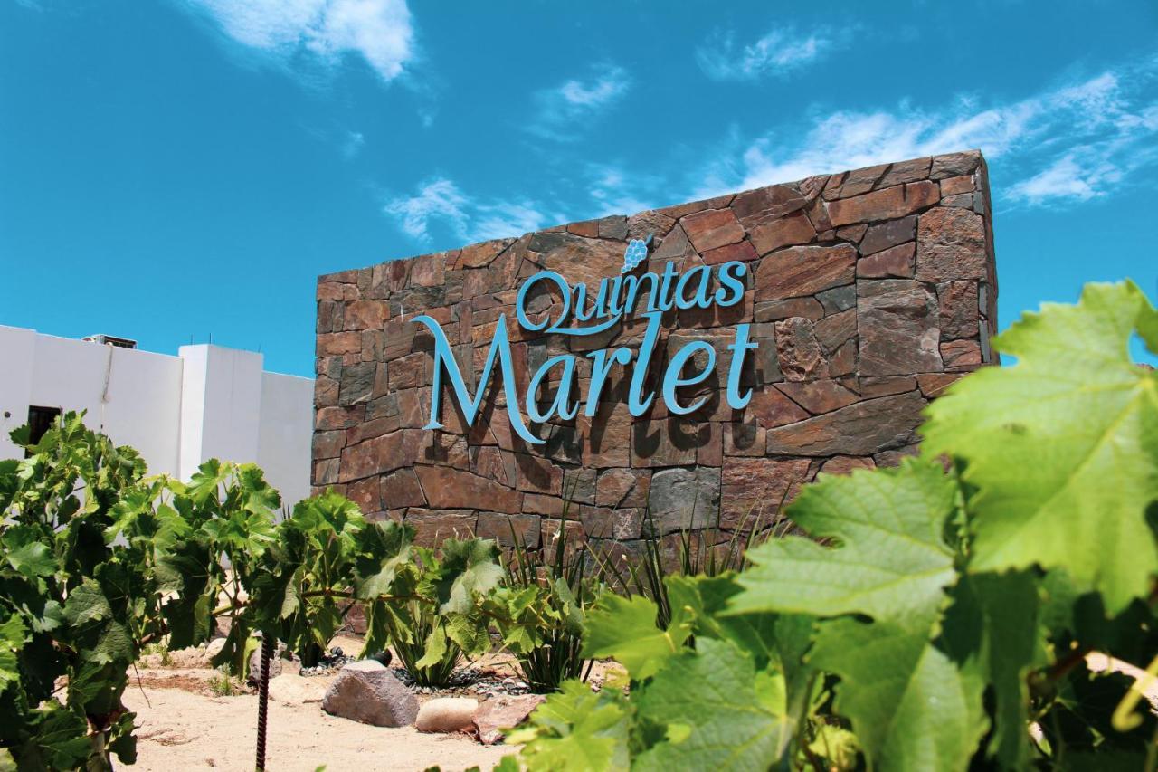 Quintas Marlet en la ruta del vino Ensenada Exterior foto