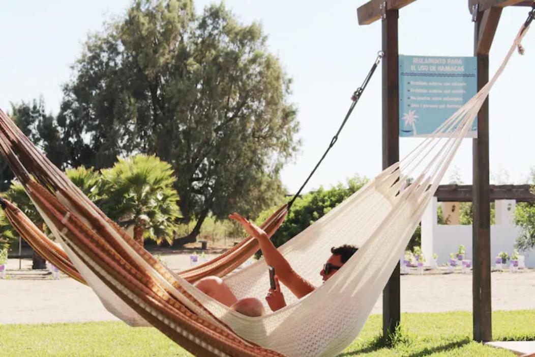Quintas Marlet en la ruta del vino Ensenada Exterior foto