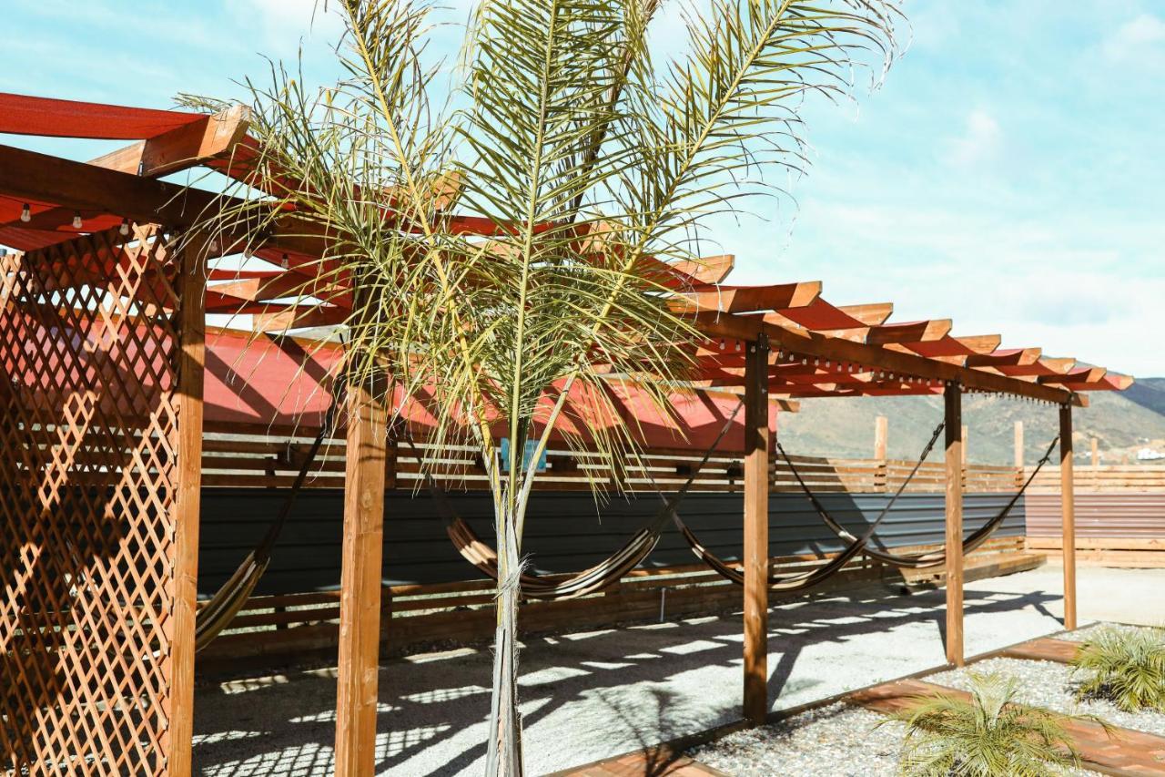 Quintas Marlet en la ruta del vino Ensenada Exterior foto
