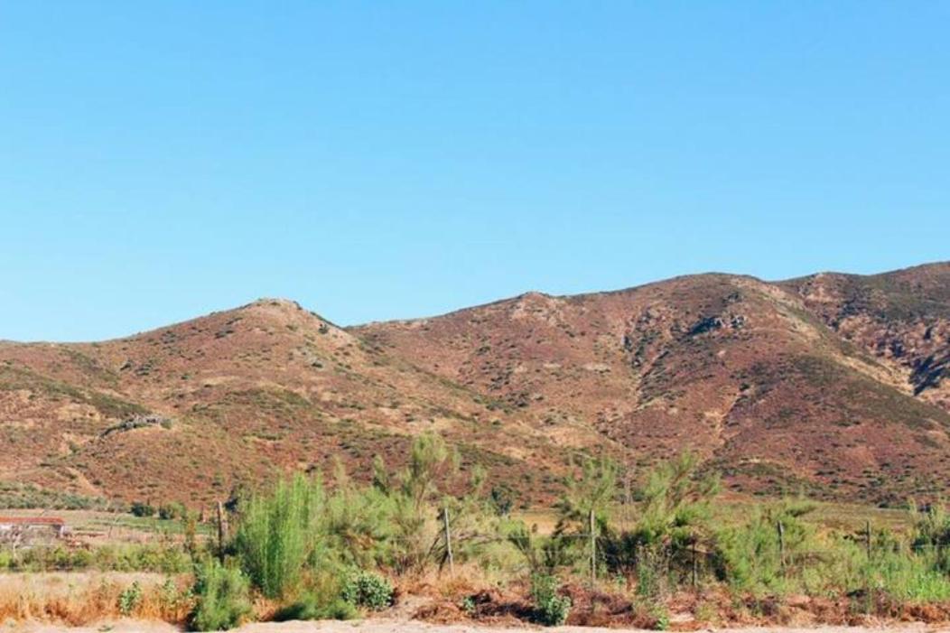 Quintas Marlet en la ruta del vino Ensenada Exterior foto