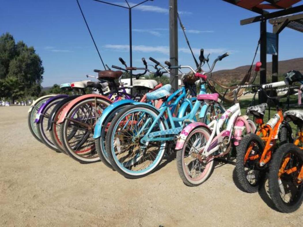 Quintas Marlet en la ruta del vino Ensenada Exterior foto